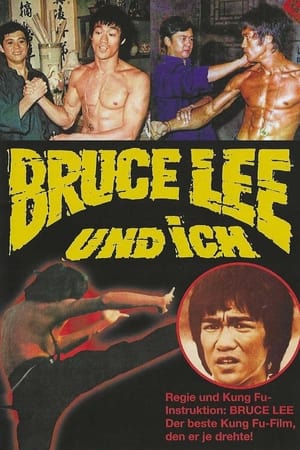 Póster de la película Los Puños de Bruce Lee