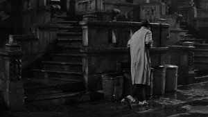 The Apartment