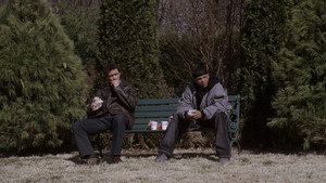 The Wire
