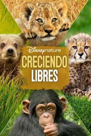 Póster de la película Crecer Salvajes