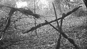 The Blair Witch Project - Il mistero della strega di Blair
