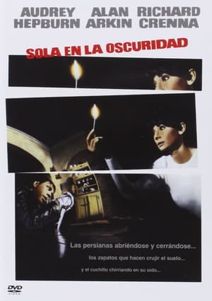 Póster de la película Sola en la oscuridad