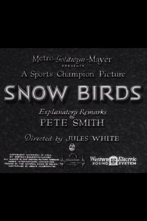 Póster de la película Snow Birds