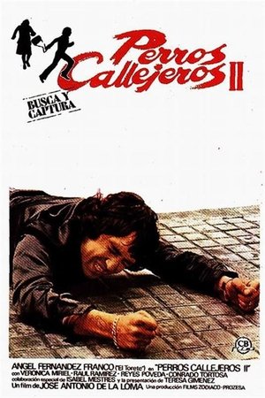 Póster de la película Perros callejeros II