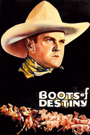Póster de la película Boots of Destiny