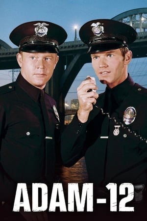 Póster de la serie Adam-12