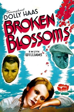 Póster de la película Broken Blossoms