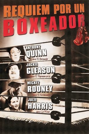 Póster de la película Réquiem por un campeón