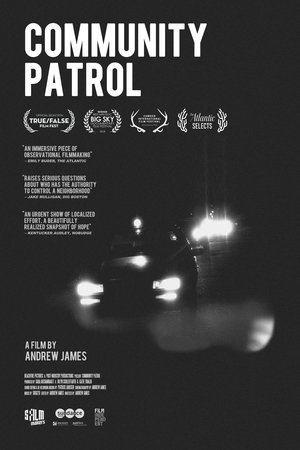 Póster de la película Community Patrol