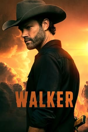 Póster de la serie Walker