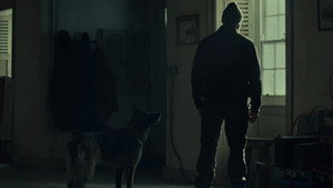 Shelter