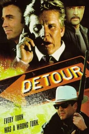 Póster de la película Detour