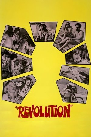 Póster de la película Revolution