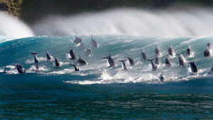 Blue Planet II