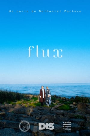 Póster de la película Flux