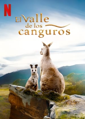 Póster de la película En el valle de los canguros