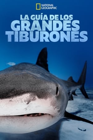 Póster de la película Big Sharks Rule