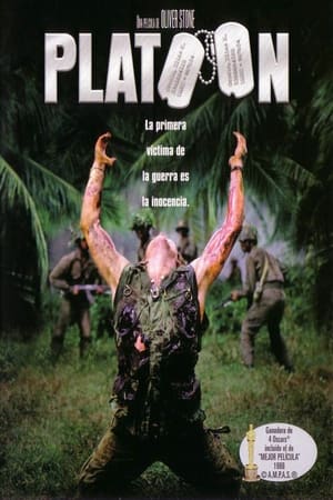 Póster de la película Platoon