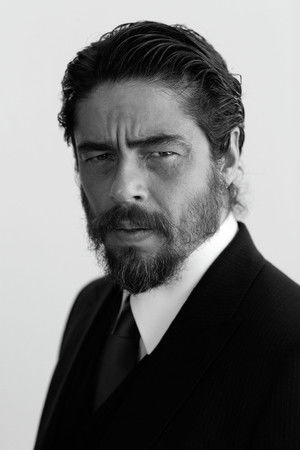 Benicio del Toro