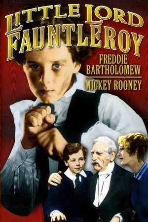 watch little lord fauntleroy movie poster