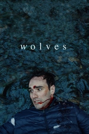 Póster de la película Wolves