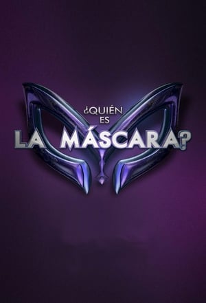 Póster de la serie ¿Quién es la máscara?