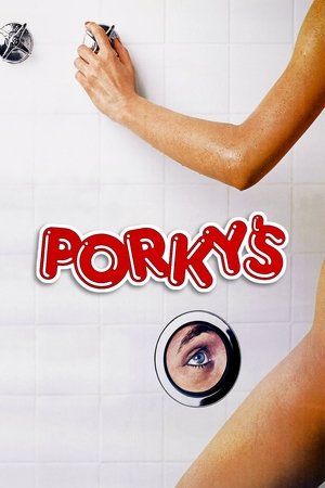 Póster de la película Porky's