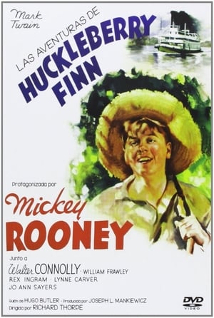 Póster de la película Las aventuras de Huckleberry Finn