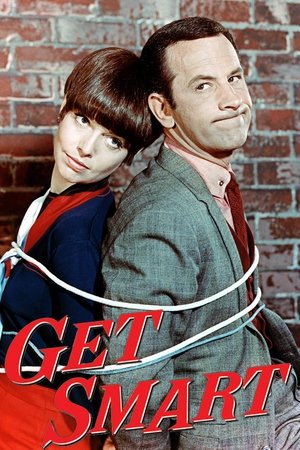 Póster de la serie Get Smart