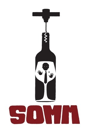 Póster de la película Somm