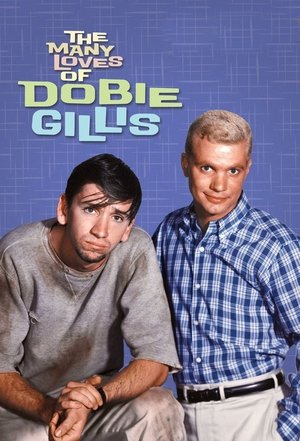 Póster de la serie The Many Loves of Dobie Gillis