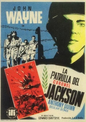 Póster de la película La patrulla del coronel Jackson