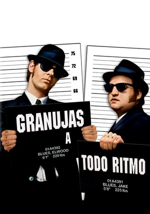 Póster de la película Granujas a todo ritmo (The Blues Brothers)