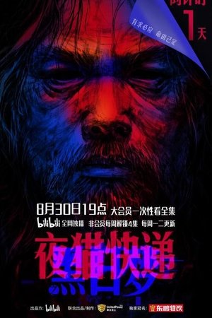 watch 夜猫快递之黑日梦 tv show poster