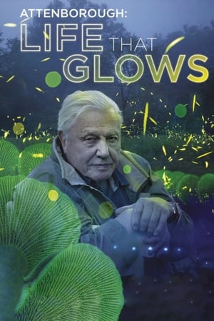 Póster de la película Attenborough's Life That Glows