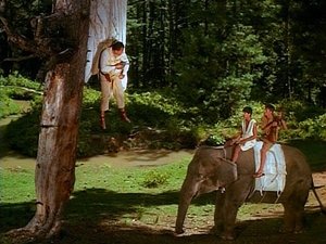Imagen del episodio 11