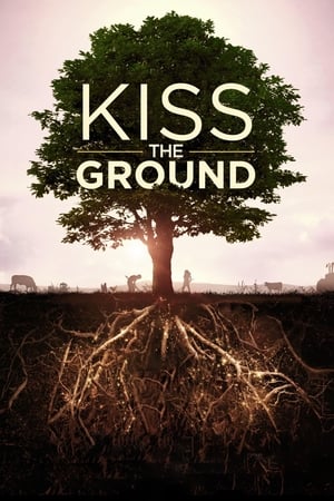 Póster de la película Kiss the Ground