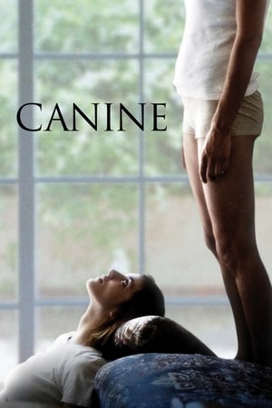Film Canine streaming VF gratuit complet