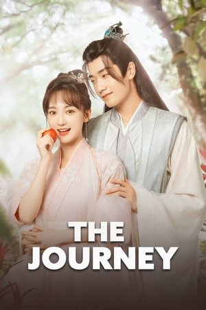 watch the journey tv show poster