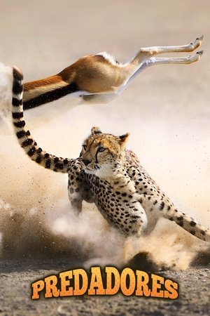 Predadores