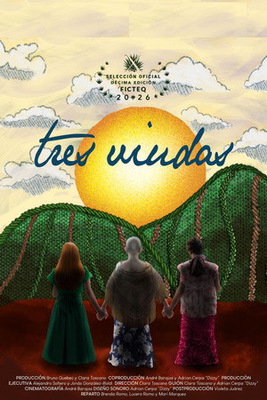Póster de la película Tres viudas