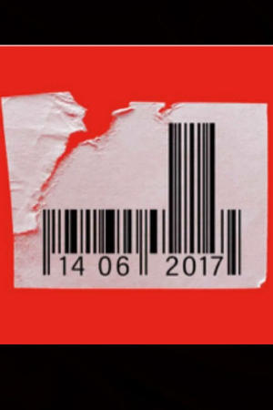 Default Netflix logo