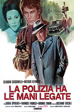 Póster de la película Brigada antidroga