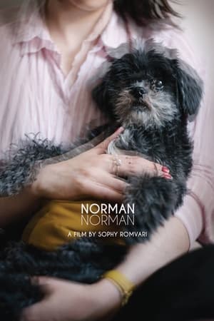 Póster de la película Norman Norman