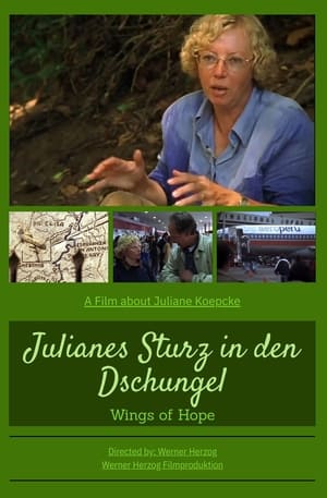 Póster de la película Julianes Sturz in den Dschungel