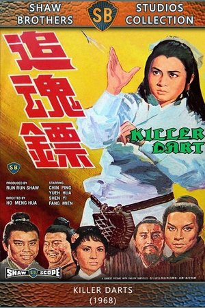 Póster de la película 追魂鏢