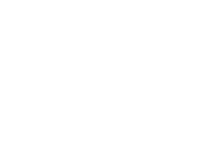 Light in the Dark