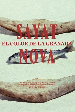 Póster de la película El color de la granada