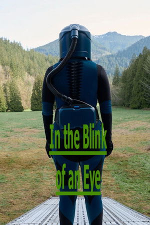 In the Blink of an Eye