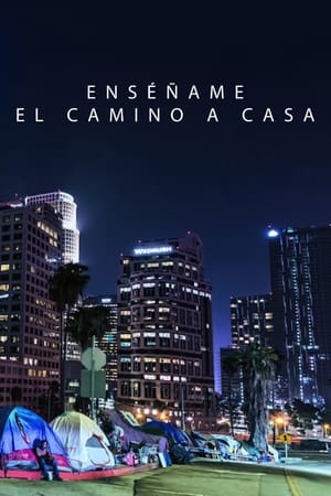 Póster de la película Enséñame el camino a casa